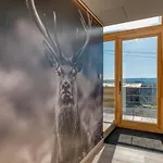 Wood - De Prestige En Ardennes - 10 Personnes - Sauna, Jacuzzi, Piscine Et Billard *