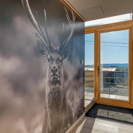 Wood - De Prestige En Ardennes - 10 Personnes - Sauna, Jacuzzi, Piscine Et Billard *