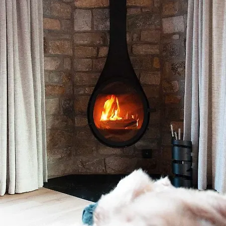 Wood - De Prestige En Ardennes - 10 Personnes - Sauna, Jacuzzi, Piscine Et Billard