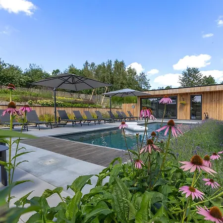 Wood - De Prestige En Ardennes - 10 Personnes - Sauna, Jacuzzi, Piscine Et Billard Tenneville