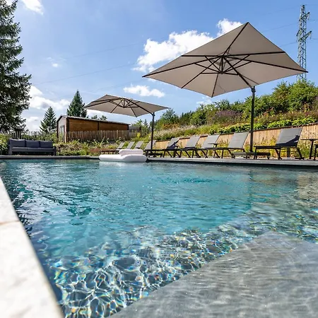 Wood - De Prestige En Ardennes - 10 Personnes - Sauna, Jacuzzi, Piscine Et Billard
