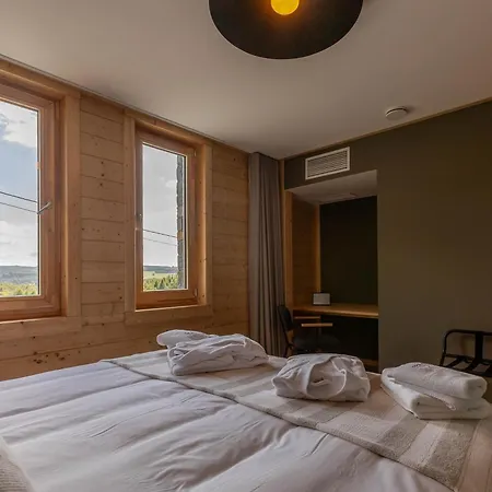 Wood - De Prestige En Ardennes - 10 Personnes - Sauna, Jacuzzi, Piscine Et Billard 펜션 *