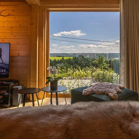 Wood - De Prestige En Ardennes - 10 Personnes - Sauna, Jacuzzi, Piscine Et Billard Tenneville