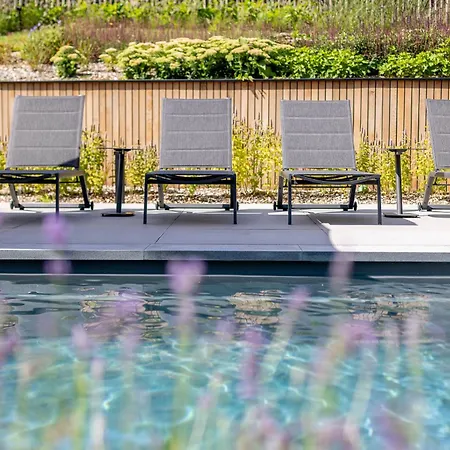 Wood - De Prestige En Ardennes - 10 Personnes - Sauna, Jacuzzi, Piscine Et Billard