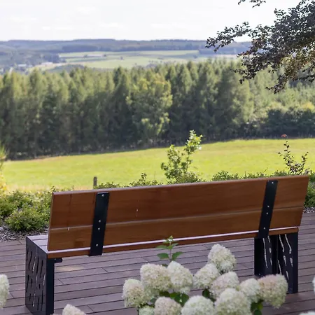 Wood - De Prestige En Ardennes - 10 Personnes - Sauna, Jacuzzi, Piscine Et Billard *