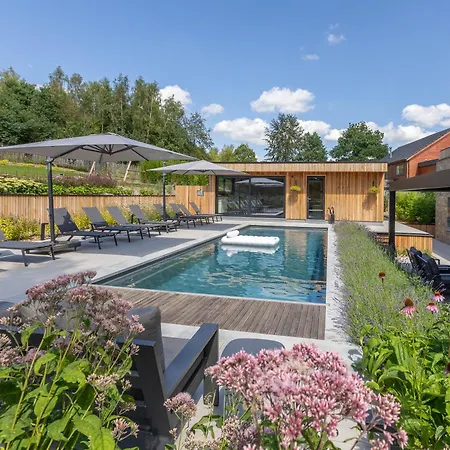 Wood - De Prestige En Ardennes - 10 Personnes - Sauna, Jacuzzi, Piscine Et Billard