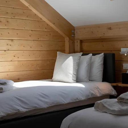 Tatil Evi Wood - De Prestige En Ardennes - 10 Personnes - Sauna, Jacuzzi, Piscine Et Billard