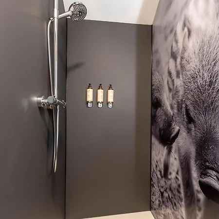 Wood - De Prestige En Ardennes - 10 Personnes - Sauna, Jacuzzi, Piscine Et Billard Tenneville