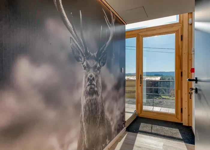 Wood - De Prestige En Ardennes - 10 Personnes - Sauna, Jacuzzi, Piscine Et Billard *