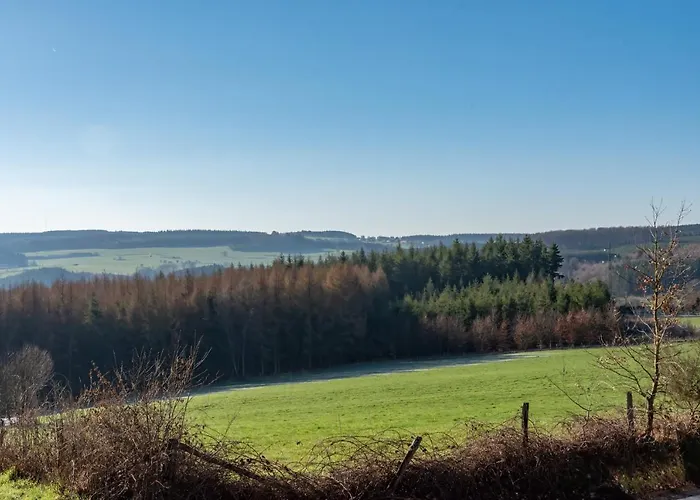 Ferienhaus Wood - De Prestige En Ardennes - 10 Personnes - Sauna, Jacuzzi, Piscine Et Billard *