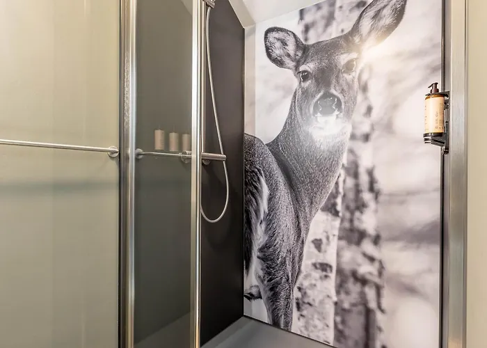 Casa de Férias Wood - De Prestige En Ardennes - 10 Personnes - Sauna, Jacuzzi, Piscine Et Billard *