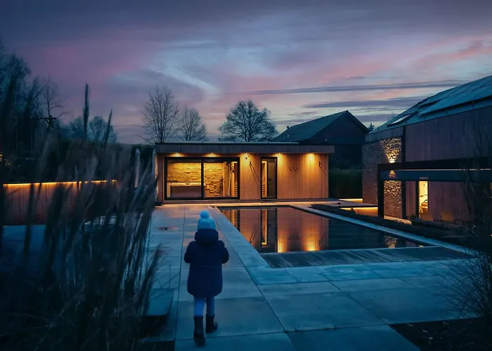 Wood - De Prestige En Ardennes - 10 Personnes - Sauna, Jacuzzi, Piscine Et Billard